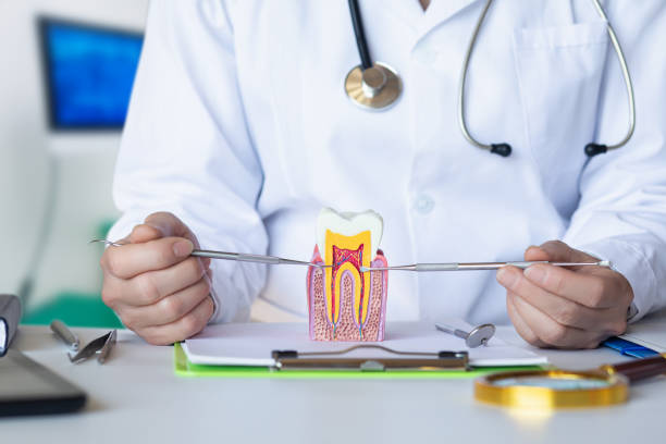 Best After-Hours Dental Care in Dulles Town Center, VA